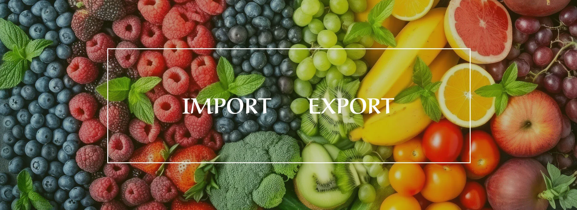 Import / Eksport
